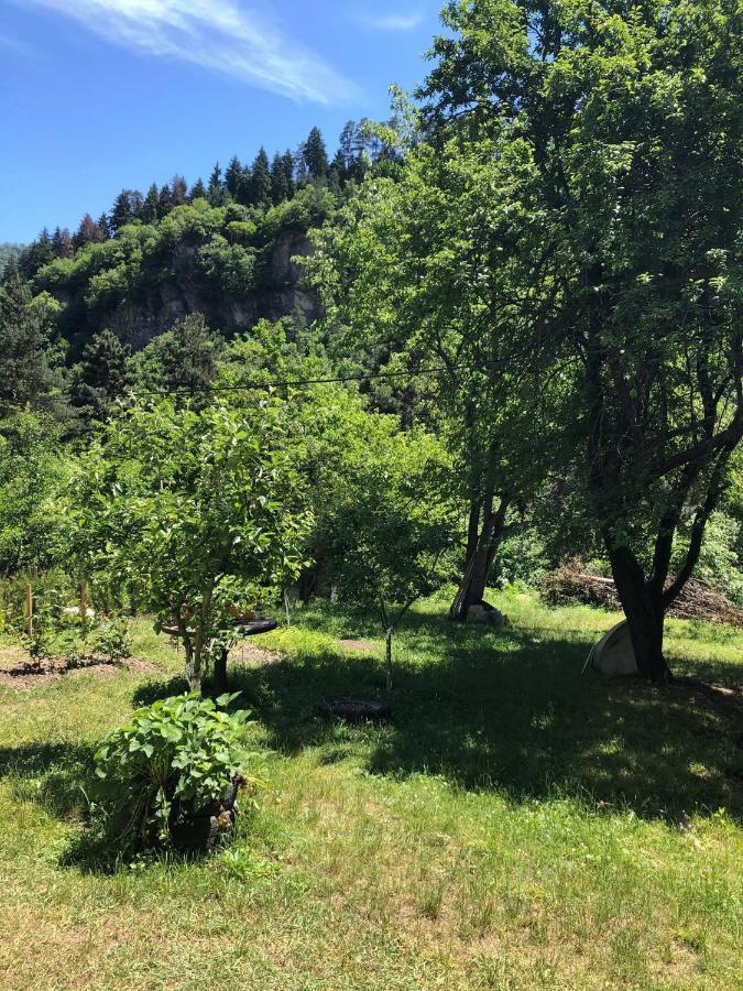Apartament Lashagiorgi Borjomi ภายนอก รูปภาพ