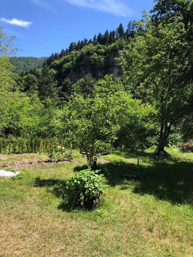 Apartament Lashagiorgi Borjomi ภายนอก รูปภาพ