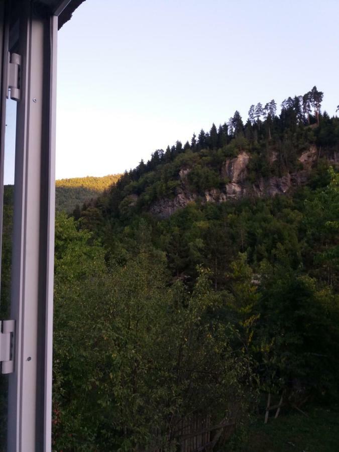 Apartament Lashagiorgi Borjomi ภายนอก รูปภาพ