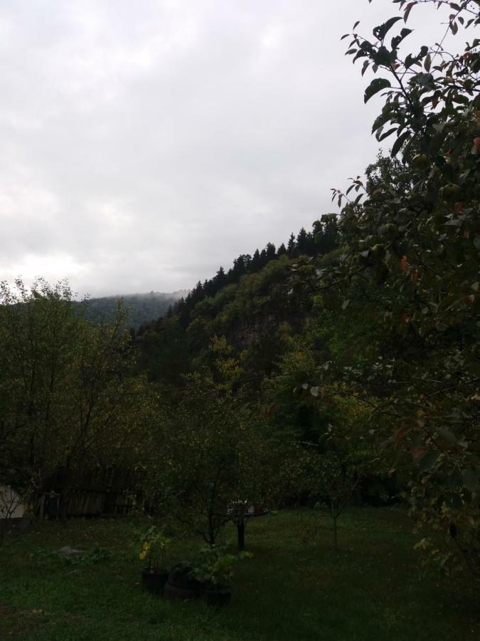 Apartament Lashagiorgi Borjomi ภายนอก รูปภาพ